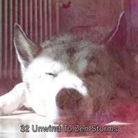 Dreams With Rain - Rain Storm Sample Library