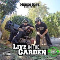 Pheno Hunter - Mendo Dope