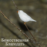 Исцеляющие Эхо - Красивая оркестровая классическая музыка