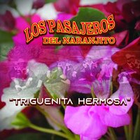 El Puente Roto - Los Pasajeros del Naranjito