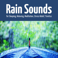 Magical Rain - Rain Sounds & Nature Sounds & Rain Sounds by Ryan Smetsers