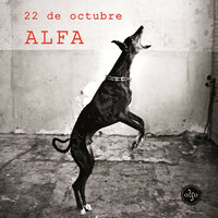 Las Ratas y los Piojos - Alfa