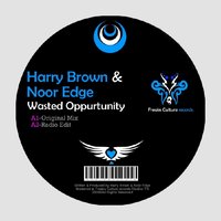 Wasted Oppurtunity - Harry Brown