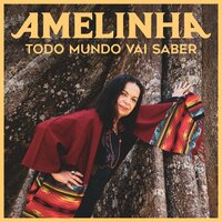 Sertão da Lua - Amelinha