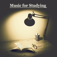Ultimate Study Guide - Exam Study Background Music Consort