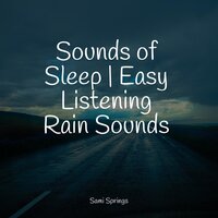Rainflows - Fresh Water Sounds for Inner Peace & Lullaby Rain & Sonidos De Lluvia y Tormentas