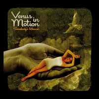 Freedom - Venus In Motion