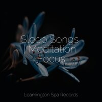 Dreamstate - Tranquil Music Sounds of Nature & Loopable Rain & Yoga Soul