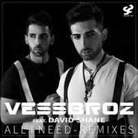 All I Need - Vessbroz & David Shane & Maddigred