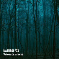 Sonidos de la tierra - Nature Sounds Nature Music & The Outdoor Library & Rivers and Streams
