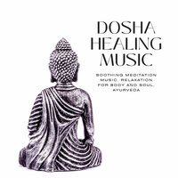 Qi Gong Symphony - Ayurveda Ledonne