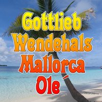 Ich will Heim zum Ballerman - Gottlieb Wendehals