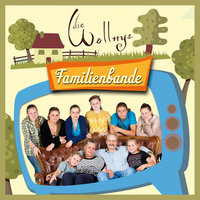 Der Himmel brennt - Die Wollnys