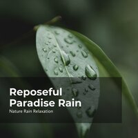 Calming Earthy Rainfall - Rain Recorders & Rainfall & Nature Rain Relaxation