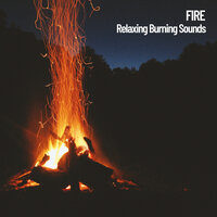 Warm Chimney with Flame - Fireplace Sounds & Outdoor Field Recorders & Music for Reading