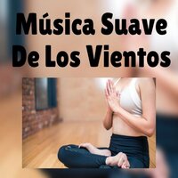 Serenidad y Harmonía - Musica Para Meditar