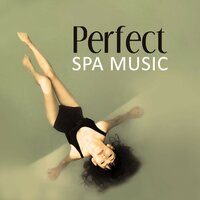 Amazon Rainforest - Unforgettable Paradise SPA Music Academy