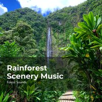 River in the Wilderness - Ambient Forest & Forest Sounds & Rainforest Sounds
