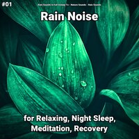 Fabulous Rain Sound Effects - Rain Sounds to Fall Asleep To & Nature Sounds & Rain Sounds
