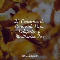 Un Paseo Por La Playa - Sonidos De La Naturaleza & Música Relajante para Perros & Lluvia PQ