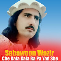 Zeyar Mazigara Hai Hai - Sabawoon Wazir