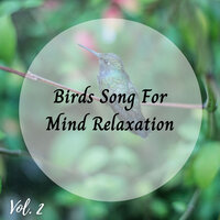 Criers - Nature Calm & Natures Orchestra & Relaxing Classical