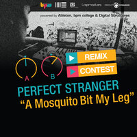A Mosquito Bit My Leg - Perfect Stranger & K'angs Toil