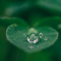 Ballad of Kisses - Massage Tribe & Relaxing music & Musica Para Niños