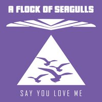 Say You Love Me - A Flock Of Seagulls