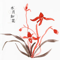 桃花扇影 - 养生音乐盒
