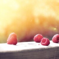 Midnight Magic - Sleep Makers Samples & Study Music & Sounds & The Rain Library