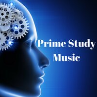 Love & Waterfalls - Prime Study Music & Spa Music Relaxation Therapy & Spa Music Relaxation Therapy & Prime Study Music