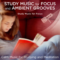 Rhythm of the Island - Study Music for Focus & The Spiritual Voyager