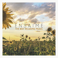 Since I've Met You - Ensaime