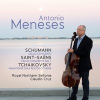 Cello Concerto No. 1 in A Minor, Op. 33: I. Allegro non troppo - Камиль Сен-Санс & Antonio Meneses