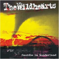 Nothing Ever Changes But The Shoes - The Wildhearts