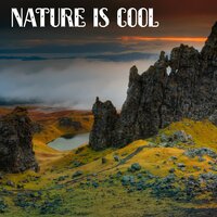 Spa Zen - Natural Sounds Music Academy