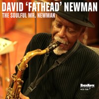 What a Wonderful World - David "Fathead" Newman & Peter Bernstein & Steve Nelson