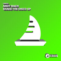 Into The Disco - Andy Bach