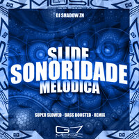Slide Sonoridade Melódica - ShadowZN & Mc Flavinho