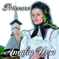 Traia Odata-NTR-O Casuta - Amalia Ursu