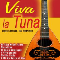 El Pío Pío - Tuna Universitaria