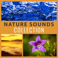 Mothers Nature Music - Relaxing Sounds of Nature