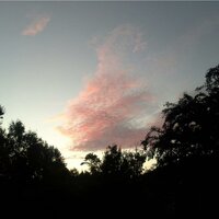 Going Back to My Roots - Blexxar