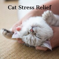 Puppy Bedtime - Jazz Music for Cats