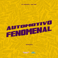 Automotivo Fenomenal - MC Gw & dj novato