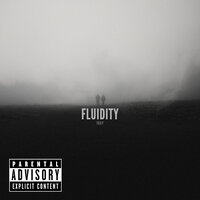 Fluidity - 1Day