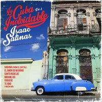 Al Vaiven De Mi Carreta - Isaac Salinas