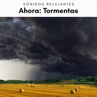 La Música de Tormentas en el Bosque pt. 3 - Academia de Música con Sonidos de la Naturaleza & Sonidos De Truenos y Lluvia & Sonidos De Lluvia y Tormentas