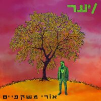 יער - אורי משקפיים